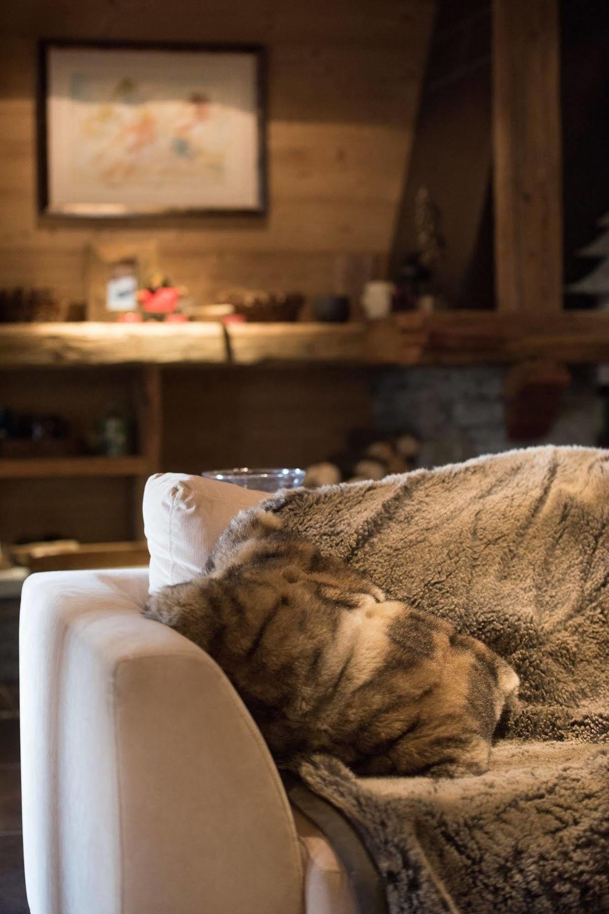 Cgh Residences & Spas Le Ruitor Sainte-Foy-Tarentaise Dış mekan fotoğraf